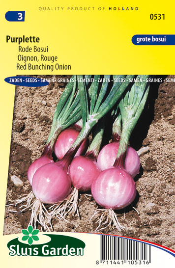 Oignon, Rouge Purplette