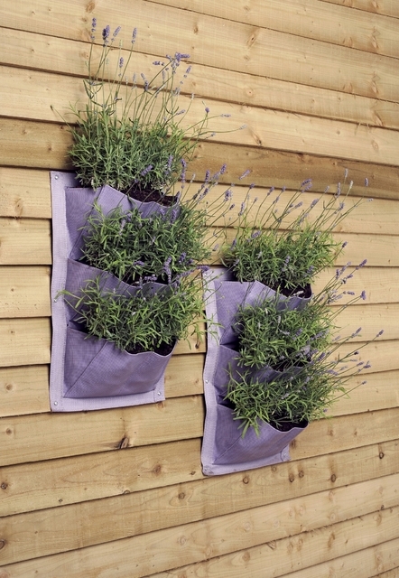 Verti-Plant Lavender- 2 packs - Burgon et Ball