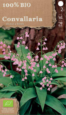 Bulbes organiques : Muguet (Convallaria Majalis)