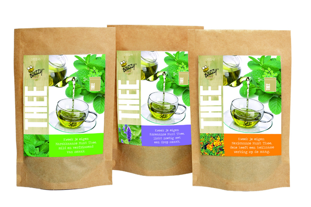 Grow Bag Menthe Mexicain ThÃ©