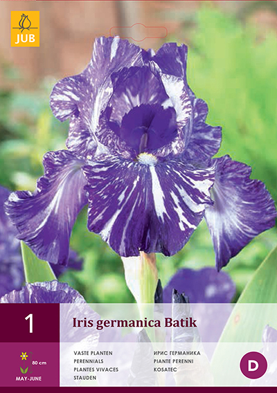 Iris Germanica Batik