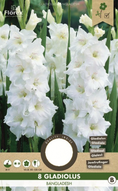 GlaÃ¯euls Blancs