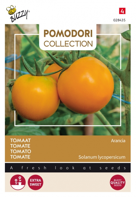 Tomate Orange - Zloty Ozarowski