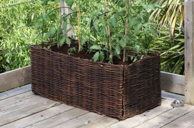 NOUVEAU supports de Cane & Couverture - pot pour légumes et tomates - Burgon et Ball