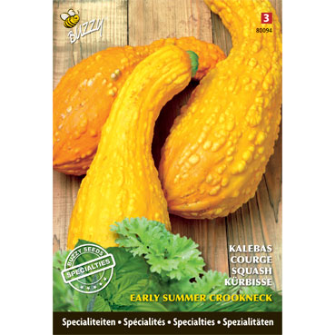 SpÃ©cialitÃ©s de semences Calebasse Summer Crookneck