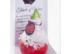 Cire Amaryllis Neige Rouge Cire Amaryllis Neige Rouge