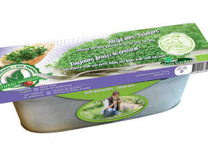 Kit Cresson Cresso Graines Biologiques Kit Cresson Cresso Graines Biologiques