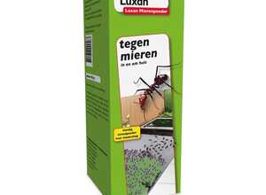 Amp 2 MG 200 gr Anti-fourmis â" Luxan Amp 2 MG 200 gr Anti-fourmis â" Luxan
