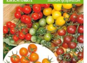 Spécialités de semences Tomates Mélange des cérises Spécialités de semences Tomates Mélange des cérises