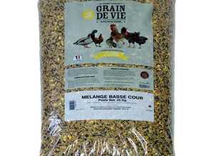 Mélange de céréales