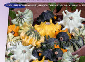 Cucurbita Coloquintes Couronnes d'Ã©pines Shenot Mix