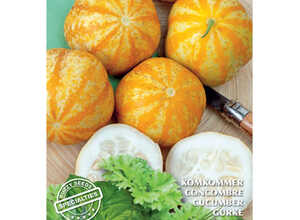 Spécialités de semences Concombre Lemon Apple Spécialités de semences Concombre Lemon Apple